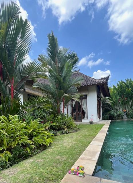 Villa Exotica Ubud Exteriér fotografie